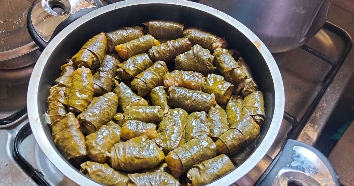 محشي ورق عنب بالأرز والخضروات