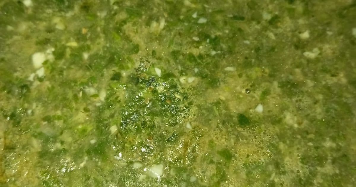 ملوخية خضراء بالطريقة التقليدية