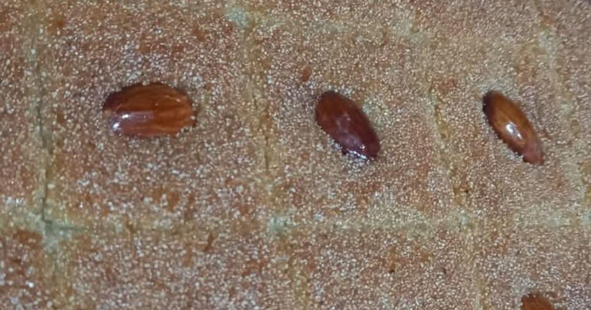 بسبوسة جوز الهند بالقشطة واللوز